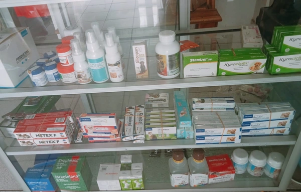 imagen MEDICAMENTOS